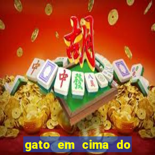 gato em cima do telhado significado espiritual